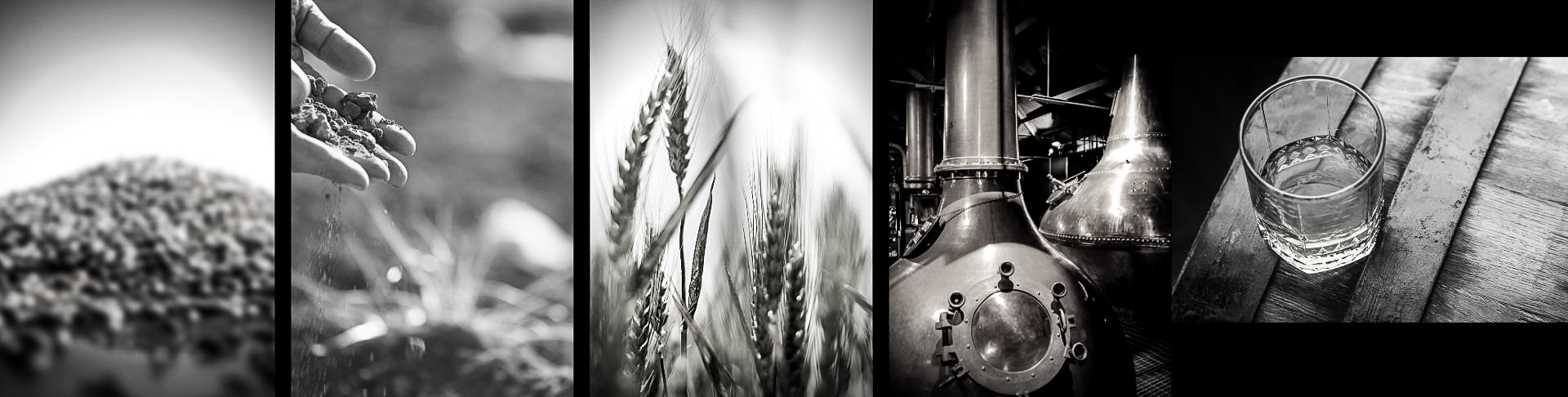 Bières biologiques|Vente en ligne