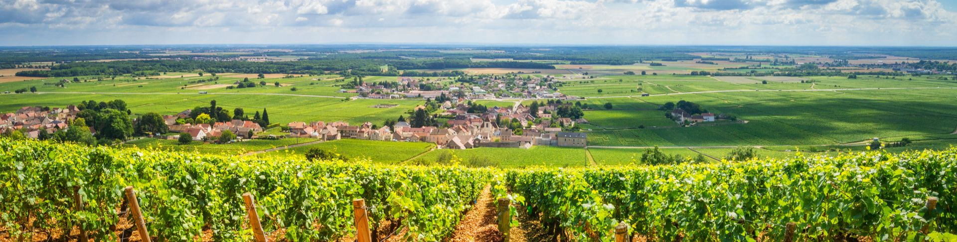 Bourgogne | Vente en Ligne | Vins